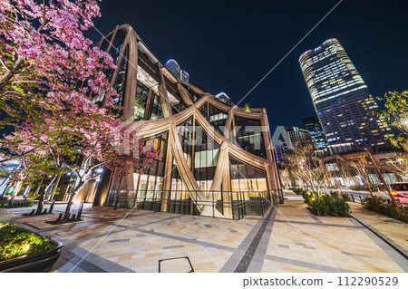 麻布台丘陵的城市夜景、燈火通明的河津櫻花和建築物[東京都港區] 112290529