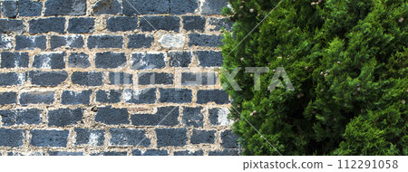 Old brick wall, tree and green grass as background 112291058