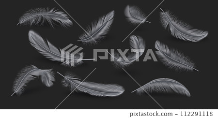 Silver feathers realistic vector illustration collection 112291118