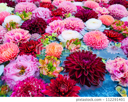 Pink flower chozuya Pink flower chozuya 112291401