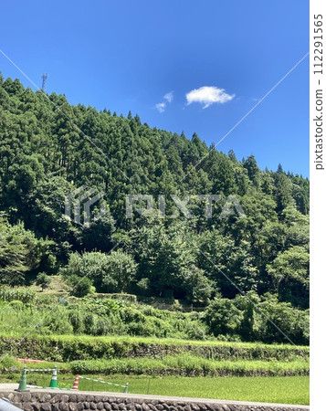 鄉村森林,晴朗的天空 鄉村森林,晴朗的天空 112291565