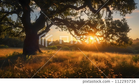 Golden Light Sunrise or Sunset with Oak Tree in... - Stock Illustration ...