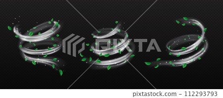 Silver dust and small leaves whirls vector illustration set 112293793