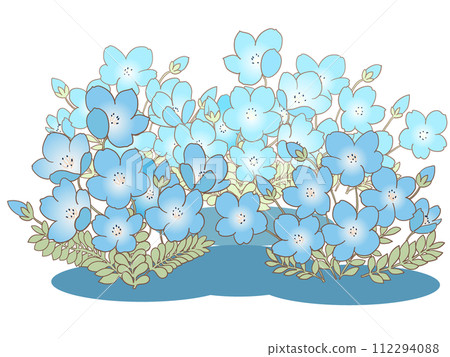 Nemophila花 112294088