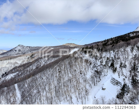 Tibetan King Tree Ice Tibetan King Tree Ice 112294363