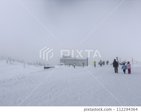 Tibetan King Tree Ice Tibetan King Tree Ice 112294364