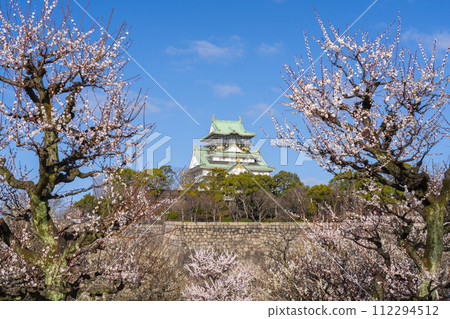 Morning view of the Osaka Castle tower from the plum grove of Osaka Castle 112294512
