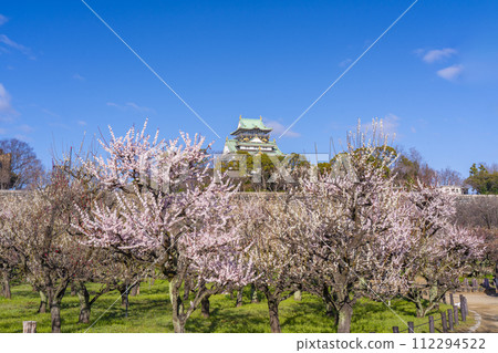 Morning view of the Osaka Castle tower from the plum grove of Osaka Castle 112294522