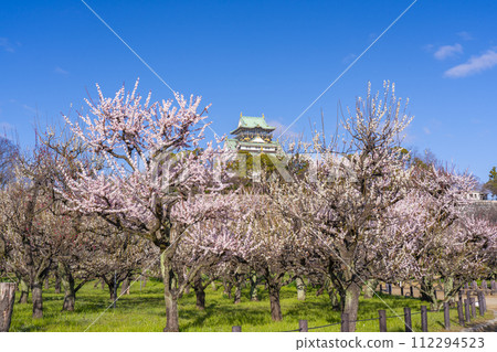 從大阪城梅林看大阪城塔的晨景 從大阪城梅林看大阪城塔的晨景 112294523