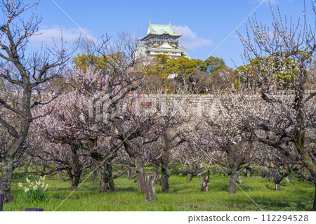 從大阪城梅林看大阪城塔的晨景 從大阪城梅林看大阪城塔的晨景 112294528