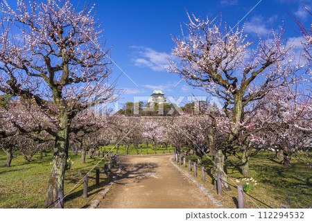 Morning view of the Osaka Castle tower from the plum grove of Osaka Castle 112294532