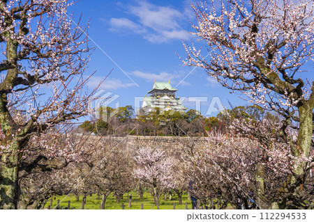 Morning view of the Osaka Castle tower from the plum grove of Osaka Castle 112294533