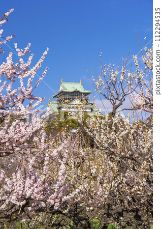 Morning view of the Osaka Castle tower from the plum grove of Osaka Castle 112294535