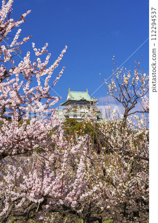 Morning view of the Osaka Castle tower from the plum grove of Osaka Castle Morning view of the Osaka Castle tower from the plum grove of Osaka Castle 112294537