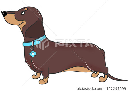 藍領光滑毛臘腸犬（巧克力棕褐色） 112295699