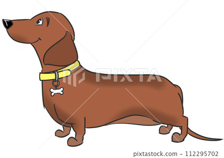 Smooth-haired dachshund (red) with a yellow collar Smooth-haired dachshund (red) with a yellow collar 112295702