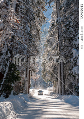 Snowed-in Forest Road in Yosemite Snowed-in Forest Road in Yosemite 112295943