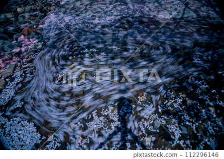 The murmuring cherry blossoms in Kameoka City, Kyoto Prefecture: Photographing the Nanatani River in full bloom The murmuring cherry blossoms in Kameoka City, Kyoto Prefecture: Photographing the Nanatani River in full bloom 112296146