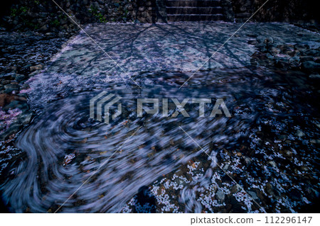 The murmuring cherry blossoms in Kameoka City, Kyoto Prefecture: Photographing the Nanatani River in full bloom The murmuring cherry blossoms in Kameoka City, Kyoto Prefecture: Photographing the Nanatani River in full bloom 112296147