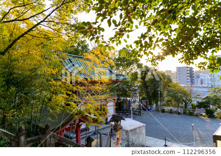 院內風景：結緣的神社「實現願望的1000年樹齡情侶樟樹」（北岡神社） 112296356