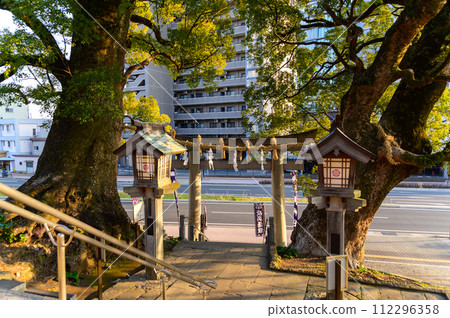 院內風景:結緣的神社「實現願望的1000年樹齡情侶樟樹」(北岡神社) 院內風景:結緣的神社「實現願望的1000年樹齡情侶樟樹」(北岡神社) 112296358