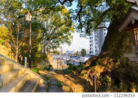 院內風景：結緣的神社「實現願望的1000年樹齡情侶樟樹」（北岡神社） 112296359