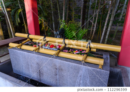 Chozusha scenery A shrine that is a good matchmaking spot ``A thousand-year-old couple's sacred tree that makes wishes come true'' (Kitaoka Shrine) 112296399