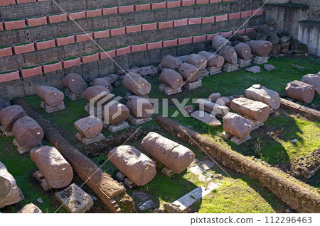 ROME, ITALY Roman ruins, excavations. Ruins of the roman Forum from the Palatine Hill 112296463