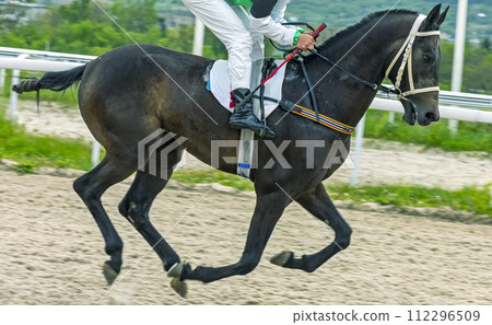 The finish of the horse race. The finish of the horse race. 112296509