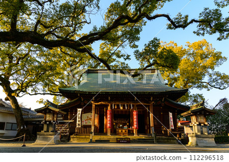 本堂及週邊風景 是求婚的好去處的神社「實現願望的神木、1000年樹齡的情侶樟樹」（北岡神社） 112296518