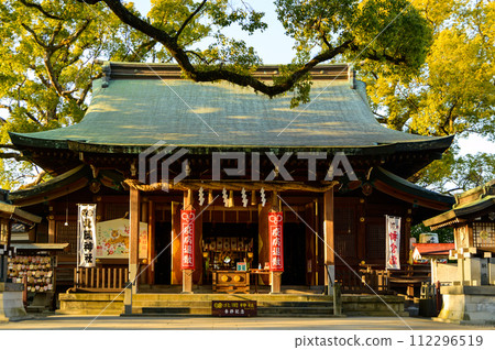 本堂及週邊風景 是求婚的好去處的神社「實現願望的神木、1000年樹齡的情侶樟樹」（北岡神社） 112296519