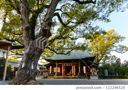 本堂及週邊風景 是求婚的好去處的神社「實現願望的神木、1000年樹齡的情侶樟樹」(北岡神社) 本堂及週邊風景 是求婚的好去處的神社「實現願望的神木、1000年樹齡的情侶樟樹」(北岡神社) 112296520