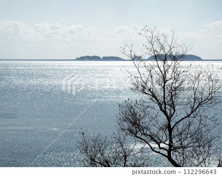 閃亮的大海 閃亮的大海 112296643