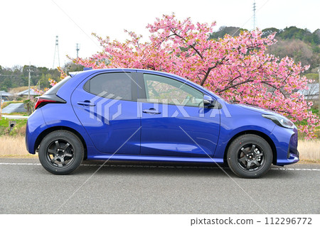 Kawazu cherry blossoms and blue compact car 112296772