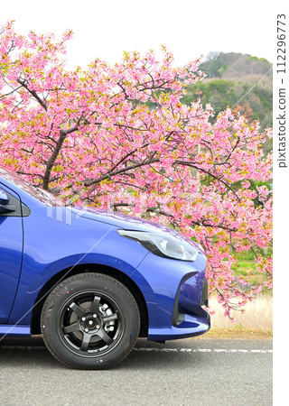 Kawazu cherry blossoms and blue compact car 112296773