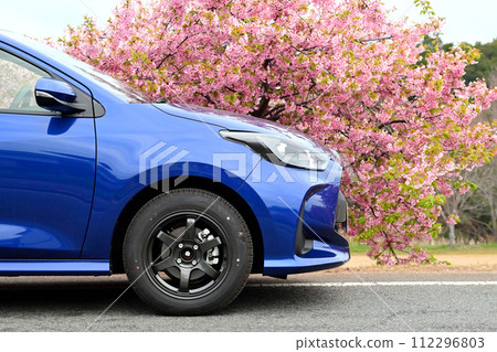Kawazu cherry blossoms and blue compact car 112296803