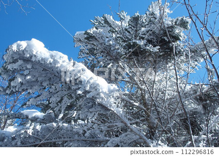 Yatsugatake mountain in winter Yatsugatake mountain in winter 112296816