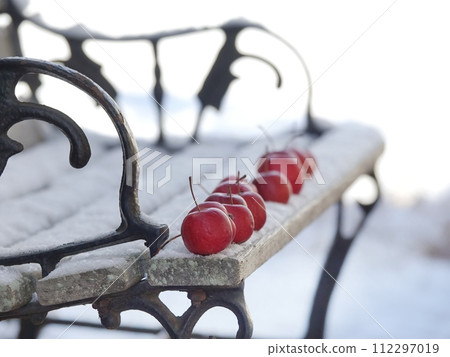 雪長椅上的蘋果 112297019
