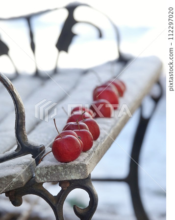 Apples on a snowy bench 112297020