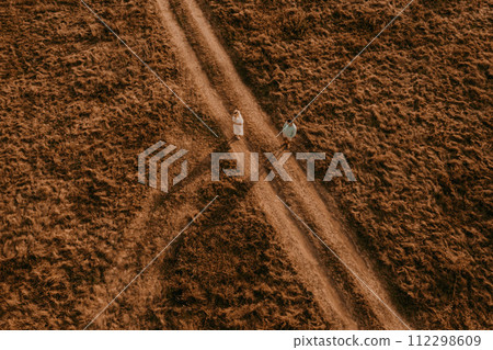 aerial view drone. husband and wife shadow go trampled path in middle field aerial view drone. husband and wife shadow go trampled path in middle field 112298609