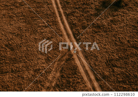 aerial view drone. husband and wife shadow go trampled path in middle field aerial view drone. husband and wife shadow go trampled path in middle field 112298610