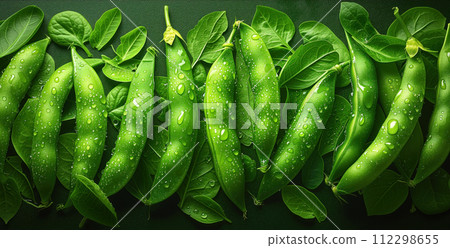 green wet string beans top view - Stock Illustration [112298655] - PIXTA