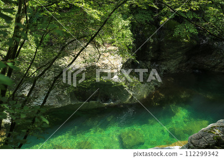 Scenery of Omogo Gorge, Kumakogen Town, Ehime Prefecture Scenery of Omogo Gorge, Kumakogen Town, Ehime Prefecture 112299342