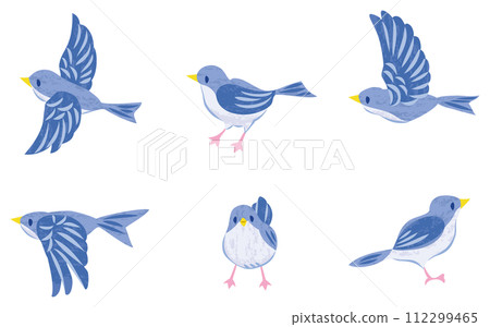 Little bird illustration set blue Little bird illustration set blue 112299465