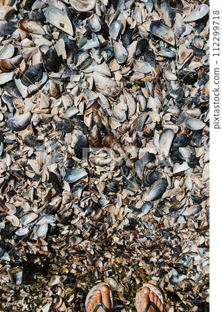 Woman legs Multicolored seashells from Black Sea Romania. Summer background 112299718