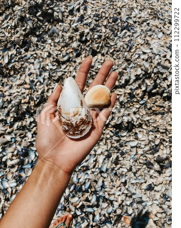 woman hand holding stones. Multicolored seashells Black Sea Romania. woman hand holding stones. Multicolored seashells Black Sea Romania. 112299722