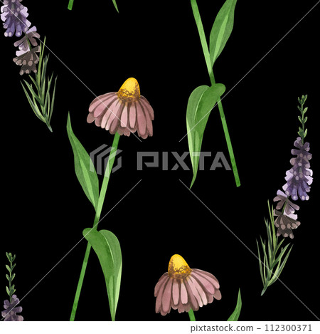 Watercolor pattern. Meadow grasses and flowers echinacea, heather plant hand drawn in watercolor on a black background. Suitable for printing on fabric and paper, for scrapbooking 112300371