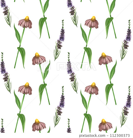 Watercolor pattern. Meadow grasses and flowers echinacea, heather plant hand drawn in watercolor on a white background. Suitable for printing on fabric and paper, for scrapbooking 112300373
