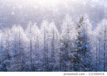 [Nagano Prefecture] Kirigamine Plateau in winter, a virgin forest of hoarfrost with diamond dust dancing 112300416