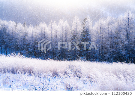 【長野縣】冬天的霧峰高原,鑽石塵飛舞的白霜原始森林 【長野縣】冬天的霧峰高原,鑽石塵飛舞的白霜原始森林 112300420